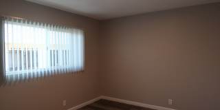 SHIRMAR 2 Gallery 26