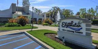 Edgewater Gallery 75