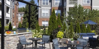 Lake Clearwater Gallery 38