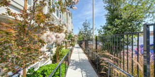 Vela Apartments Gallery 94