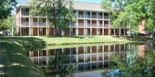 Lakewood Commons Gallery 1