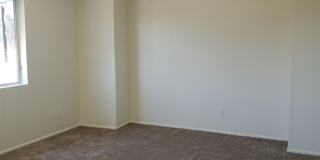 No HOA! North Phoenix 3 Bedroom Home with Large Yard & Garage Gallery 28
