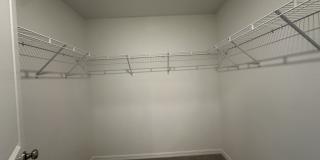 2329 Lesser Goldfinch Dr Gallery 12