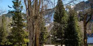 222 W Hopkins Avenue unit: 6 Gallery 21