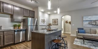 Vintage Amelia Island Apartments Gallery 27