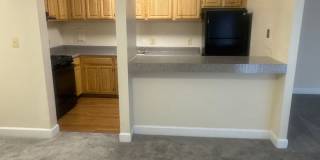 Hewitt Gardens Gallery 28