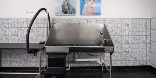 Nova West Gallery 37