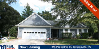 3 BD/2 BA Home on Cul-de-Sac w/Fireplace, Fenced Yard, Attached Garage Near Camp Lejeune Gallery 1
