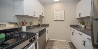 Vesty Park Gallery 2