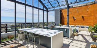 Treehouse Gallery 31