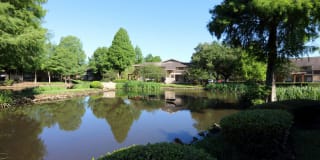 Diamond Lakes Apartment Homes Gallery 29