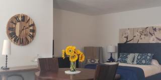 14313 Flora Lane Gallery 6