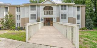 Nu Six Forks Gallery 63