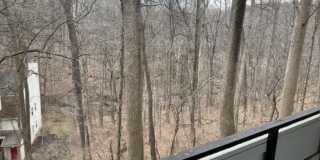 7531 Spring Lake Drive Gallery 24