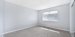 The Canopy Gallery 16