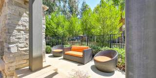 Pinewood Apartments Gallery 15