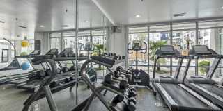 5 Mockingbird Gallery 41