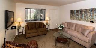 5250 East Cortland Boulevard Gallery 5