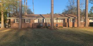 Spacious 3BD/2B located in N.E. Lowndes County Gallery 1