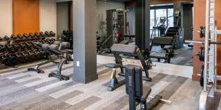 Paloma Village Gallery 13