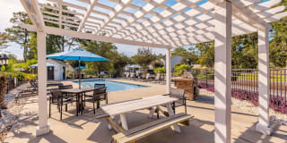 Birch Pond Gallery 10