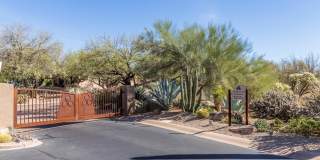 7152 E Night Glow Circle Gallery 43