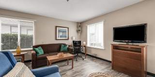 Vivo Living Charlotte Gallery 29