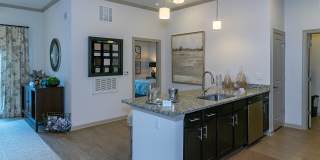 Rock Island Ridges at Riverchase Gallery 47