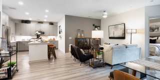 Alta River Oaks Gallery 6