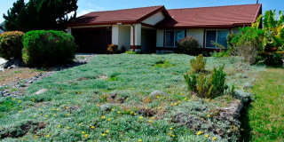 3Bed/2Bath with a Pool in Oceanside~ Navajo Gallery 1