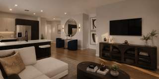 Avela Gallery 3