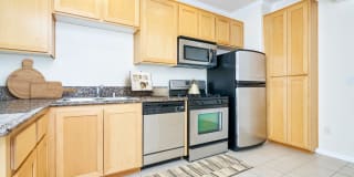 The Orsini Gallery 58