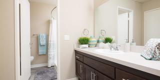 Forest Glen Gallery 31