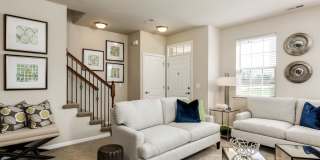 Heron Springs Gallery 5