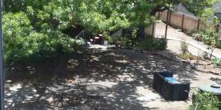 4438 Campus Avenue - 4438 Gallery 2