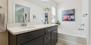 162 Auburn Run Lane Gallery 18