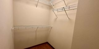 PI5831 Gallery 14