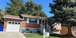 1125 Commanchero Drive Gallery 1