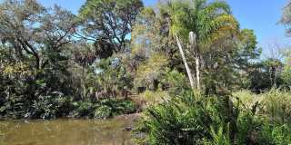 2746 ORCHID OAKS DRIVE Gallery 47