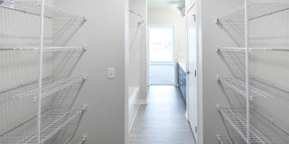 Velocity Gallery 44