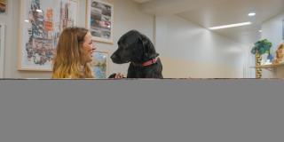 Noble 2500 - Student Housing Gallery 42