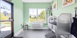 The Ascent Plainfield Gallery 4