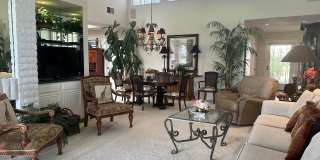 242 Serena Drive Gallery 4