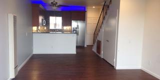 Juniper Gallery 19