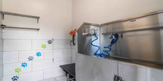 The Asher at Sugarloaf Gallery 24