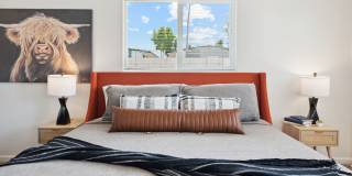 Modern 4BR Scottsdale Home w/ Guest Suite, EV Charger, Huge Backyard & Splash Pad Gallery 16