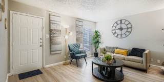 South Shore Gallery 20