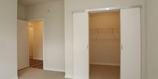 Synergy at the Mayfair Collection Gallery 21