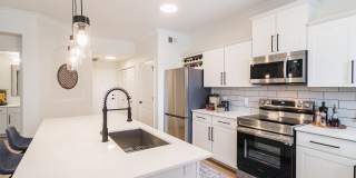 Terracina Gallery 28