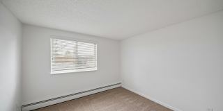 ReNew Pinehurst Gallery 18